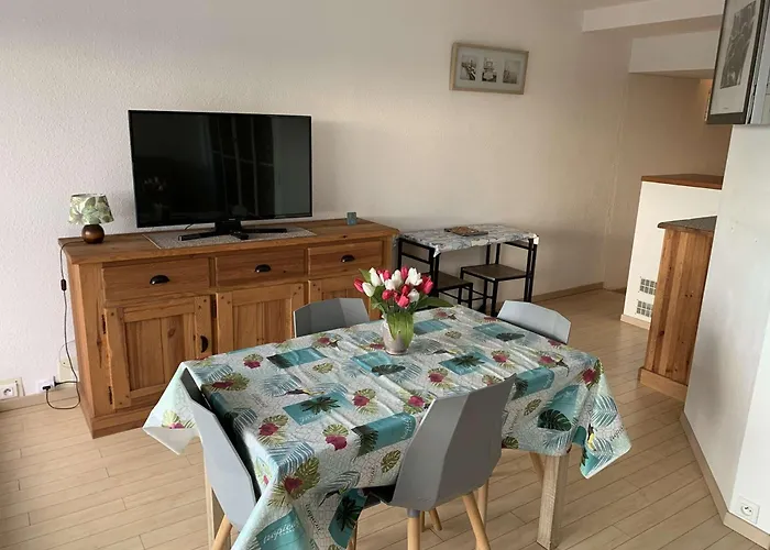 Apartman 2 Pieces Avec Terrasse A Port Camargue - Fr-1-731-146 Le Grau-du-Roi