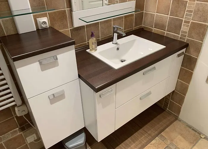 2 Pieces Avec Terrasse A Port Camargue - Fr-1-731-146 *